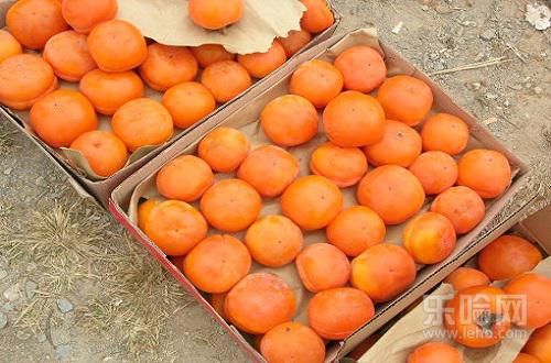 贫血不能吃什么,贫血不可以吃什么,贫血的人不