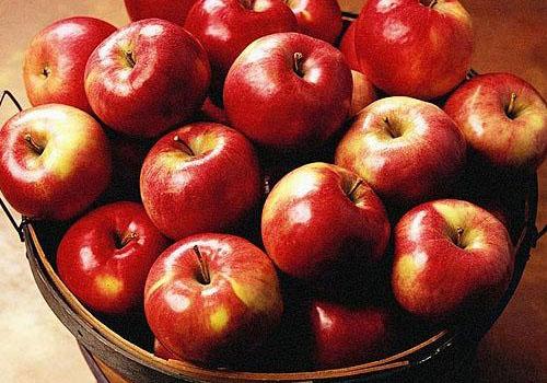 苹果和普通苹果的区别,糖心苹果多少钱一斤-乐