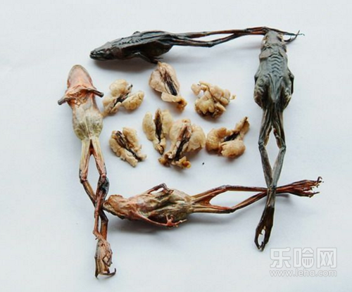 林蛙油孕妇能吃吗,孕妇可以吃林蛙油吗-乐哈健