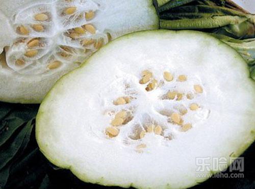 冬瓜子的功效与作用,冬瓜子的功效与作用及禁