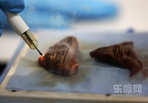 扁桃体结石怎么弄出来,扁桃体结石如何取出-乐哈健康网