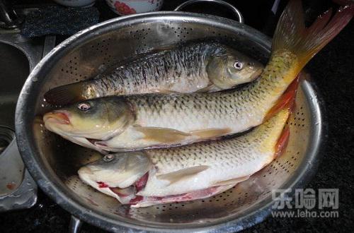 孕妇补充蛋白质吃什么最好,孕妇吃什么补蛋白