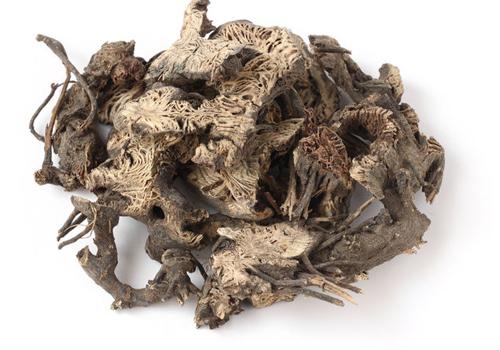 广升麻的功效与作用