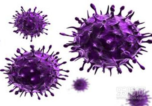 风疹会不会传染人,风疹会传染吗-乐哈健康网