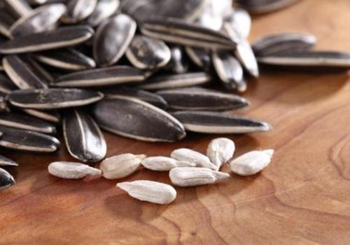 生瓜子的功效与作用