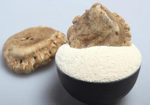 鹿角帽粉的功效与作用