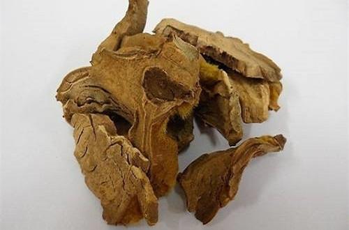 什么中药泡水喝补肾效果最好,中药泡水补肾壮