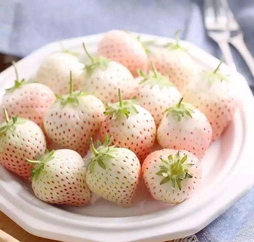 OMG����ݮ�л���Ч����ô�ã�