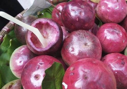 牛奶果怎么吃 牛奶果最营养的吃法