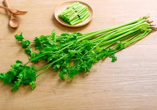 芹菜不焯水能生吃吗? 芹菜生吃好还是熟吃好