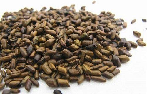 吃什么中药降血脂,中药降血脂最好的药物