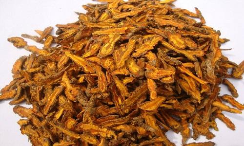 什么中药消炎效果最好 中药消炎药有哪些