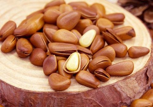 吃松子嘴苦是什么原因