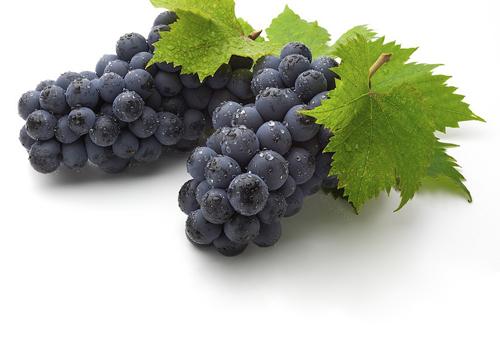 女人肾虚吃什么水果好 吃什么水果能治肾虚