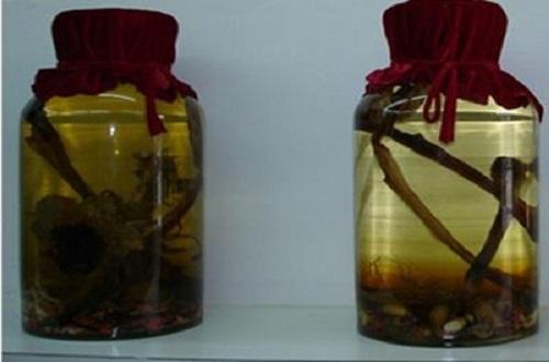 肉苁蓉和什么泡酒最好,肉苁蓉泡酒最佳配方