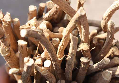 黄芪泡水隔夜能喝吗