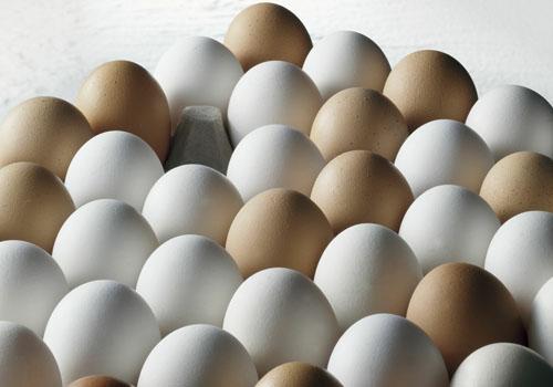 吃完消炎药可以吃鸡蛋吗