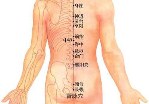久战不泄的民间偏方,治早迣偏方大全