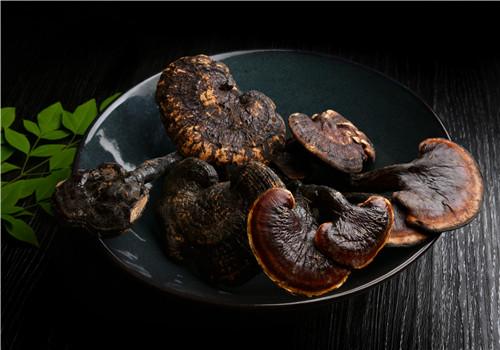 养胃的食物有哪些,生活中的天然养胃药