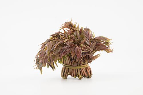 香椿能吃到几月份 七月份的香椿能吃吗?（多图）
