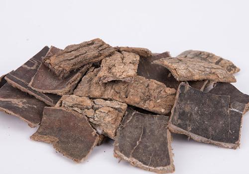 杜仲怎么吃最有效 杜仲有什么营养价值