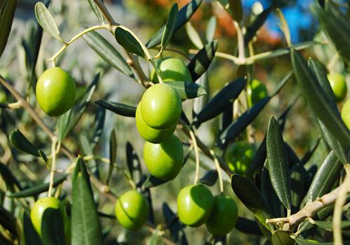 晕车不吃药怎么缓解,治晕车最有效的办法6种