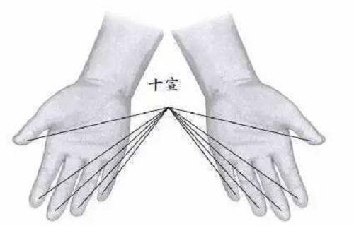 十宣放血的功效与作用 十宣放血图解（组图）