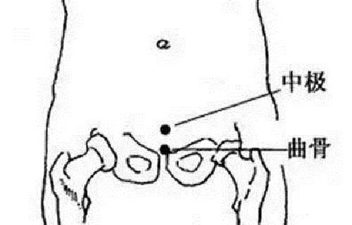曲骨的准确位置图和作用怎么按摩曲骨图解