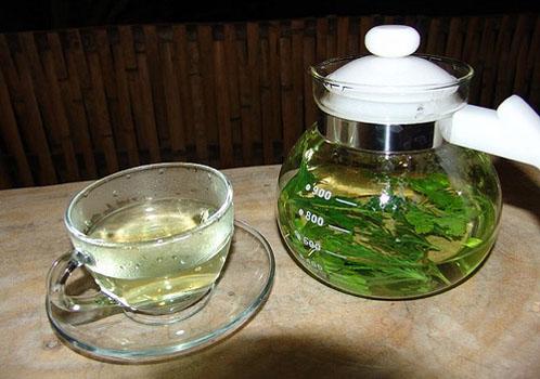 车前草泡水喝的功效 清热去燥,祛痰止咳,解毒等!