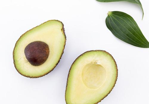 牛油果核怎么种盆栽