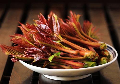 香椿中毒吃什么喝什么可以解毒 吃香椿中毒什么症状