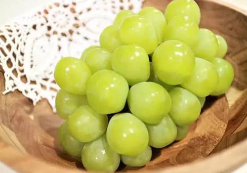 晴王葡萄为什么那么贵