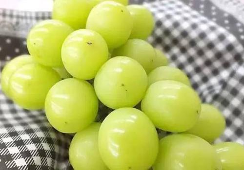 香印和晴王葡萄区别