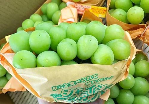 晴王葡萄为什么这么贵