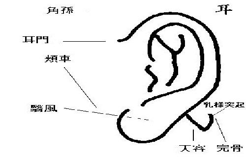角孙的准确位置图 按摩角孙的好处 乐哈健康网