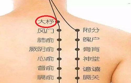 大杼准确位置图和作用 大杼的准确位置视频