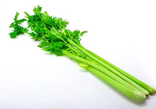 芹菜属于发物吗 芹菜什么人不能吃 乐哈健康网