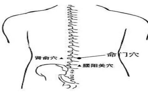 腰阳关的准确位置视频 腰阳关的位置与作用