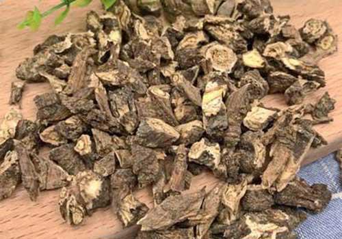 蒲公英茶哪些人不宜喝