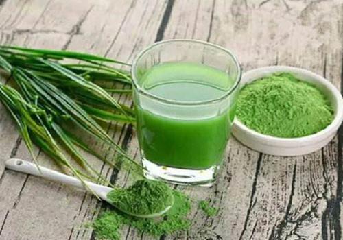 青汁是什么做的 青汁有哪些成分及作用