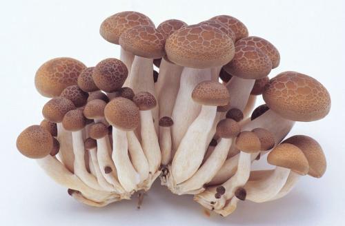 预防老年斑吃什么 常吃这些食物可预防老年斑