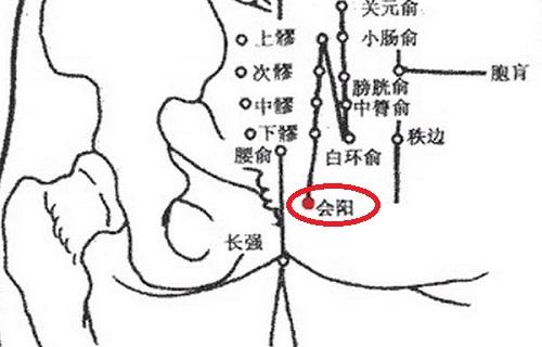 会阳位置图和作用 会阳的准确位置图视频