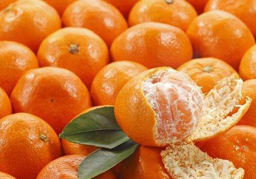 丑橘和橘子有什么区别