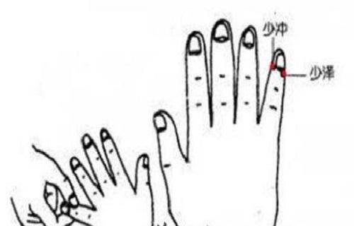 少泽血是人体哪个位置少泽的位置图和作用