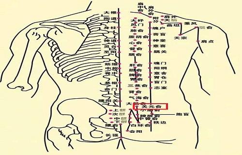 关元俞的简易找法 关元俞的作用与好处