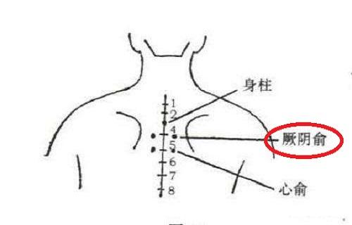 厥阴俞在哪里,厥阴俞部位疼痛怎么办-乐哈健康网