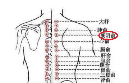 厥阴俞在哪里,厥阴俞部位疼痛怎么办-乐哈健康网