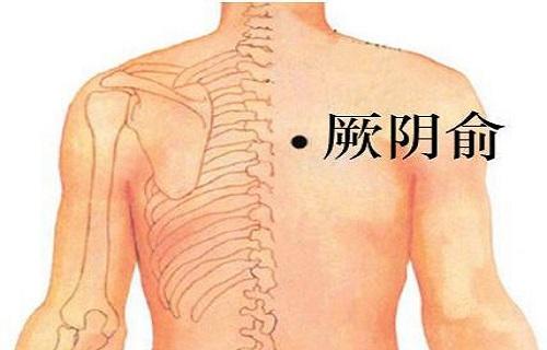 厥阴俞在哪里,厥阴俞部位疼痛怎么办-乐哈健康网