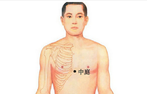 中庭是哪个位置 中庭的作用