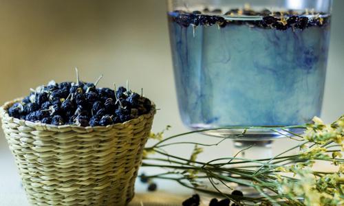 黑枸杞产妇可以吃吗